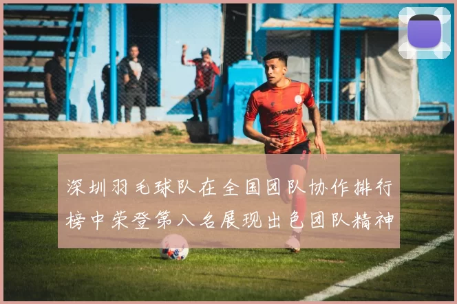 深圳羽毛球队在全国团队协作排行榜中荣登第八名展现出色团队精神与实力