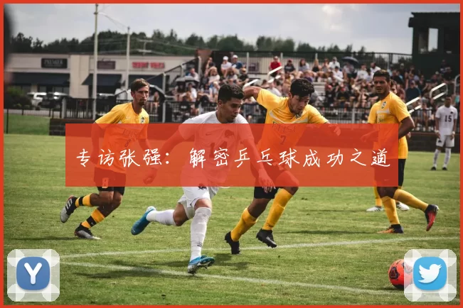 专访张强：解密乒乓球成功之道