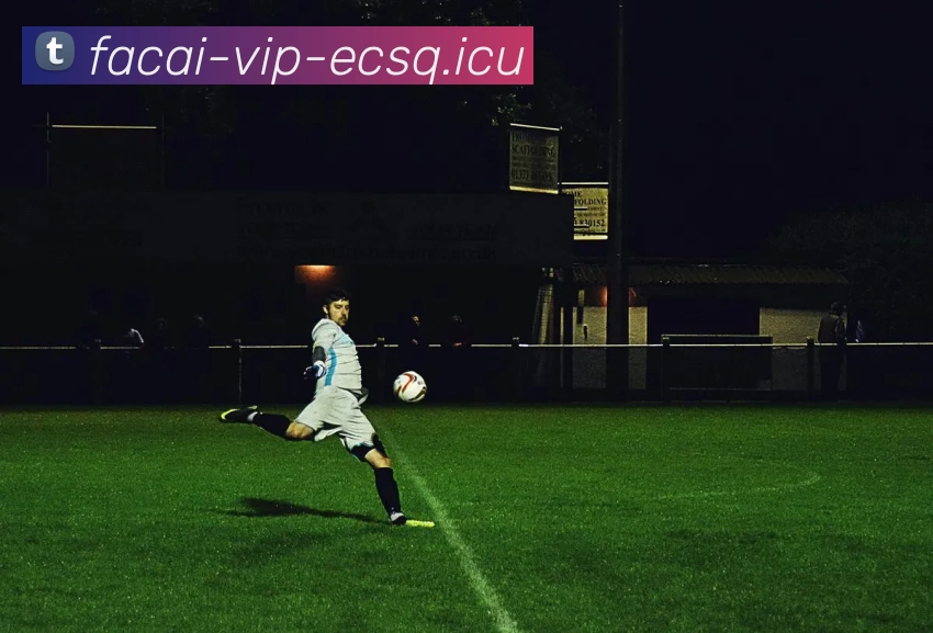 星空体育注册APP 封面图